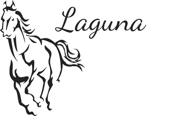 Laguna Pure Water